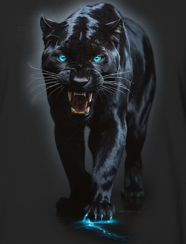 Panter energy shirt - panter, t-shirt